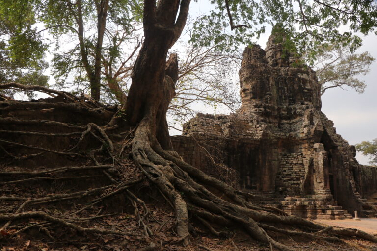 South Gate Angkor Thom Samuth